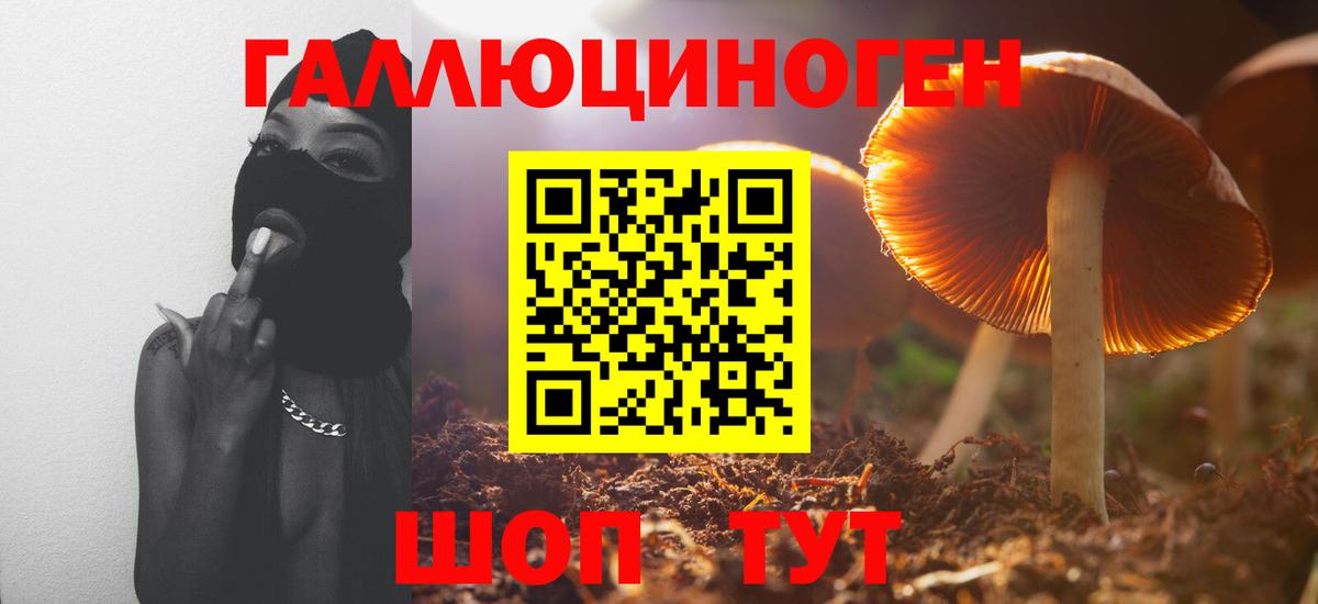 Псилоцибиновые грибы прущие грибы  Псилоцибиновые грибы MAGIC MUSHROOMS  Вход с VPN  Тайшет 